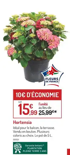 Botanic Hortensia offre