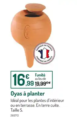 Botanic Oyas à planter offre