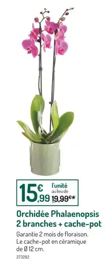 Botanic Orchidée Phalaenopsis 2 branches + cache-pot offre