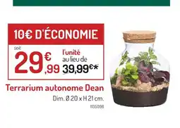 Botanic Terrarium autonome Dean offre