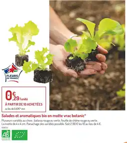 Botanic botanic Salades et aromatiques bio en motte vrac offre