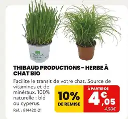 Animalis Thibaud Productions Herbe à chat bio offre