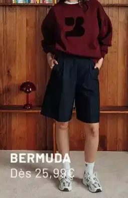 Bizzbee Bermuda offre