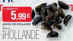 Match Moule de hollande offre