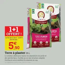 Espace emeraude OR BRUN Terre à planter offre