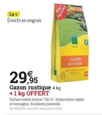Espace emeraude Gazon rustique offre