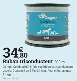 Espace emeraude CALYDON Ruban triconducteur 200 m offre