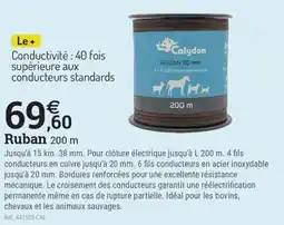 Espace emeraude CALYDON Ruban 200 m offre