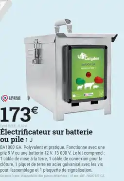 Espace emeraude Électrificateur sur batterie ou pile 1 J offre