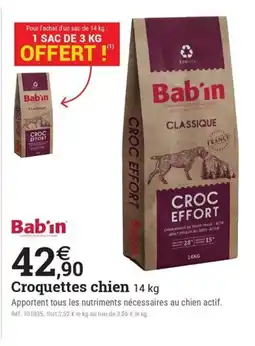Espace emeraude BAB'IN Croquettes chien offre