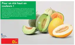 METRO Melon vert offre