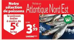 Auchan Supermarché Sardine offre