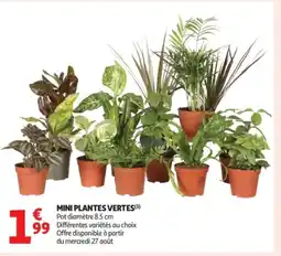 Auchan Supermarché Mini plantes vertes offre