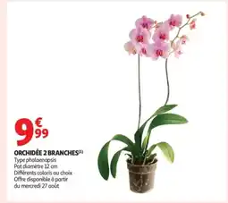 Auchan Supermarché Orchidée 2 branches offre