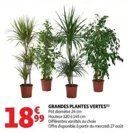 Auchan Supermarché Grandes plantes vertes offre