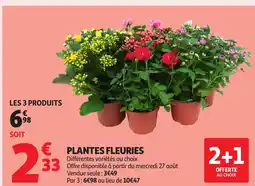Auchan Plantes fleuries offre