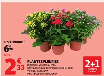 Auchan Plantes fleuries offre