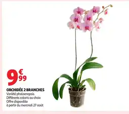 Auchan Orchidée 2 branches offre