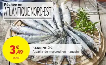 Intermarché Hyper SARDINE offre