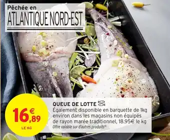 Intermarché Hyper Queue de lotte offre