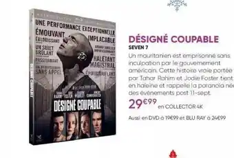 Désigné Coupable - Seven 7