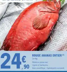 E.Leclerc ROUGE ANANAS ENTIER offre
