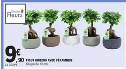 E.Leclerc Ficus Ginseng avec Céramique offre