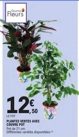 E.Leclerc PLANTES VERTES AVEC COUVRE POT offre