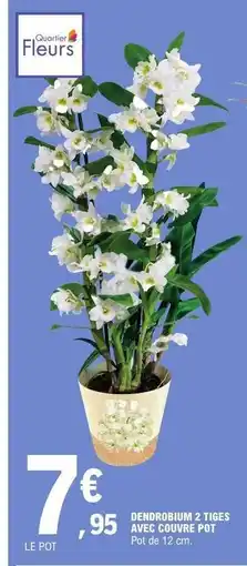 E.Leclerc DENDROBIUM 2 TIGES AVEC COUVRE POT offre