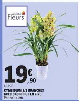 E.Leclerc CYMBIDIUM 2/3 BRANCHES offre