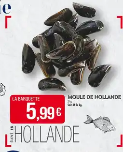 Match Moule de Hollande offre