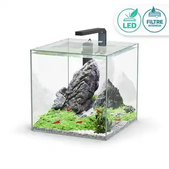 Jardiland Aquarium Kubus offre