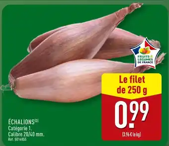ALDI Échalions offre