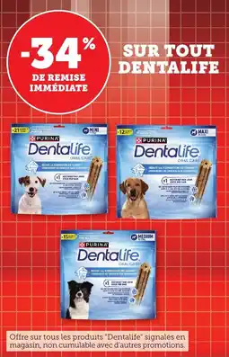 Bi1 Sur tout dentalife offre
