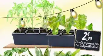 E.Leclerc Plants légumes bio offre