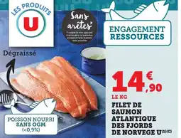 Bi1 Filet de saumon atlantique des fjords de norvege u offre