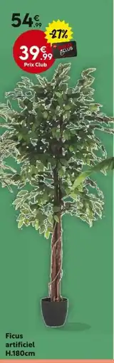 La Foir'Fouille Ficus artificiel offre