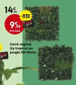 La Foir'Fouille Carré végétal Izy tropical ou jungle offre