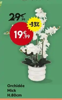 La Foir'Fouille Orchidée Mick offre
