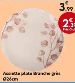 La Foir'Fouille Assiette plate Branche grès offre