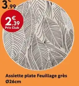 La Foir'Fouille Assiette plate Feuillage grès offre