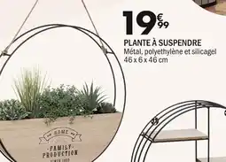 La Foir'Fouille Plante à suspendre offre