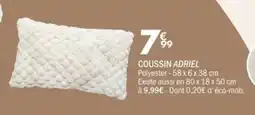 La Foir'Fouille Coussin adriel offre