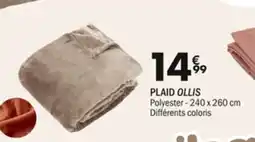 La Foir'Fouille Plaid ollis offre