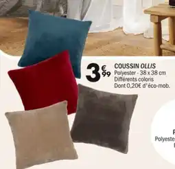 La Foir'Fouille Coussin ollis offre