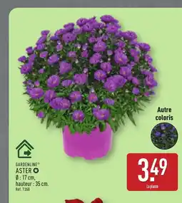 ALDI GARDENLINE Aster offre