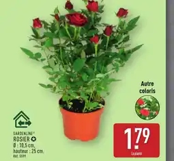 ALDI GARDENLINE Rosier offre