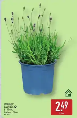 ALDI GARDENLINE Lavande offre