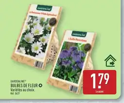 ALDI GARDENLINE Bulbes de fleur offre