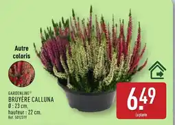 ALDI GARDENLINE Bruyère calluna offre